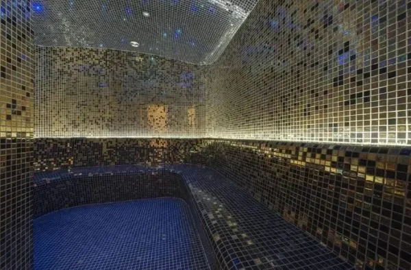 Parno kupatilo Hotel Radison Blue